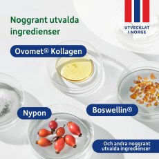 -localization-error-products-images-main-thumbnail-extra- 2