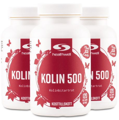 Cholin 500, Vitaminer & Mineraler - Healthwell