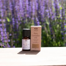 -localization-error-products-images-main-thumbnail-extra- 2