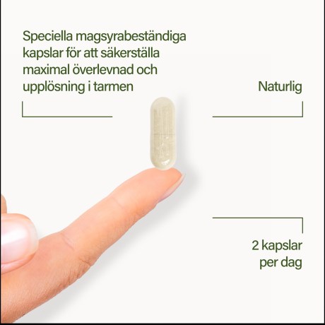 -localization-error-products-images-main-extra- 4