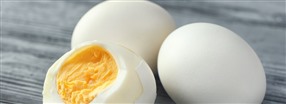 Sdan fungerer ggeprotein