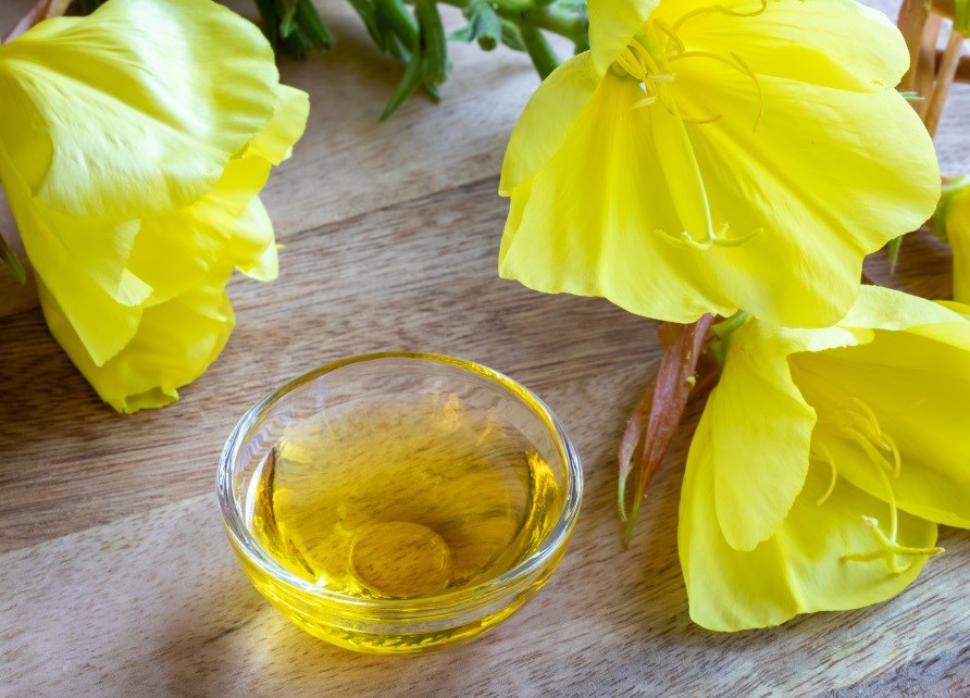 Et par natlysblomst ved siden af en lille skål med natlysolie. Et par natlysblomst ved siden af en lille skål med natlysolie.