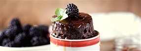 Proteinrig mugcake