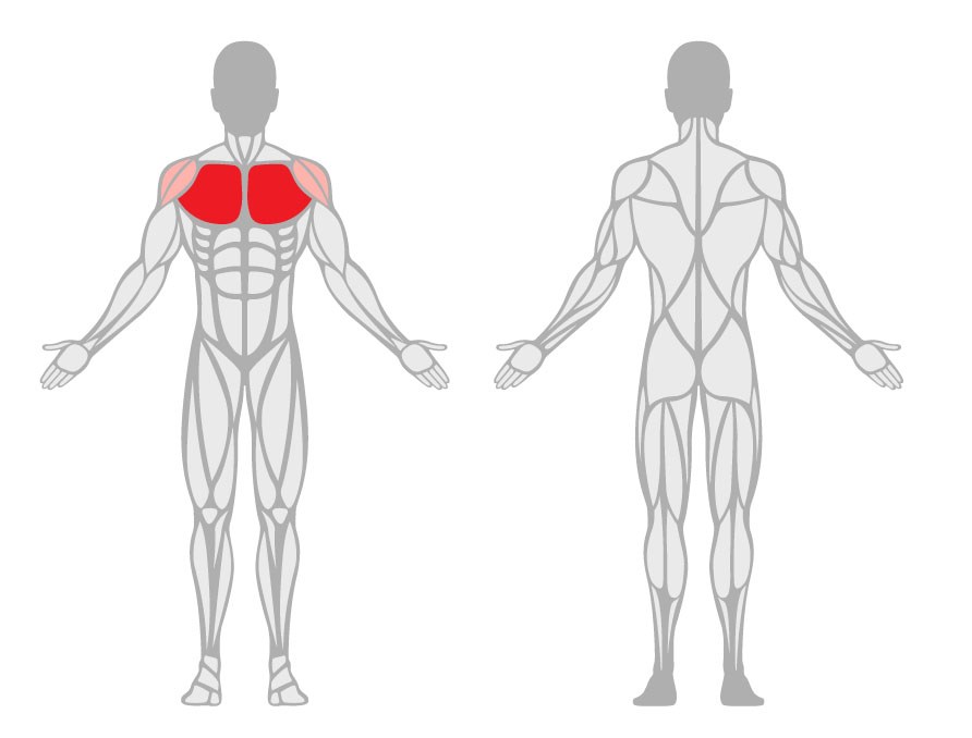 Pec-dec.