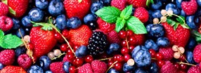 Alt om antioxidanter