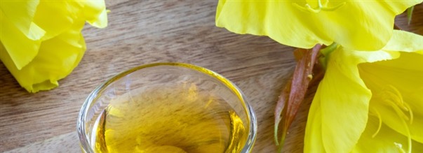 Sådan fungerer GLA (natlysolie)