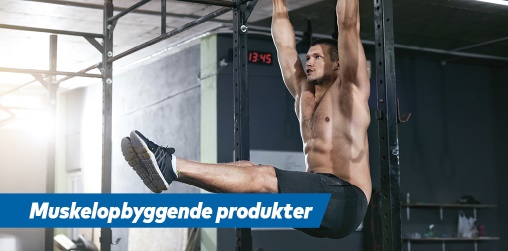 Muskelopbyggende produkter
