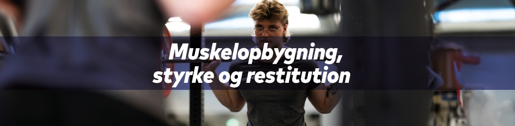 Tema: Muskelopbygning, styrke & restitution