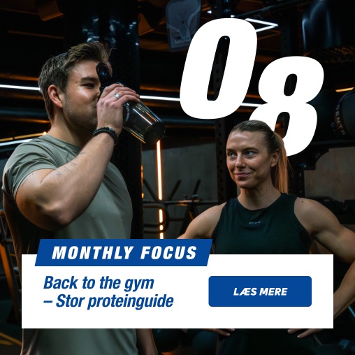 Back to the gym - Stor proteinguide